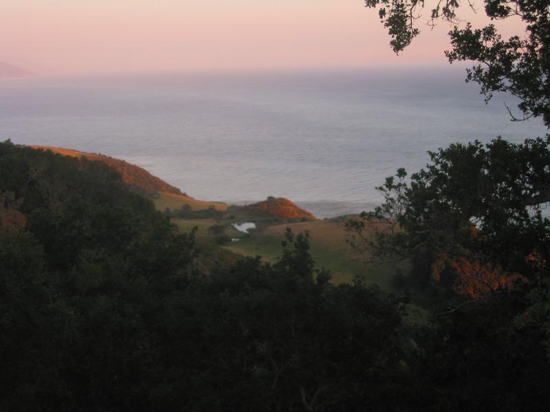 2004/06 June/Monterey Big Sur/800x600_IMG_0916.JPG